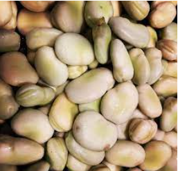 Bulk Habas (from Mexico 5 lb bag)